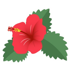 花 赤いハイビスカス フリーイラスト素材 趣味で作ったイラストを配るサイト