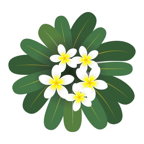 花 プルメリア Plumeria フリーイラスト素材 趣味で作ったイラストを配るサイト