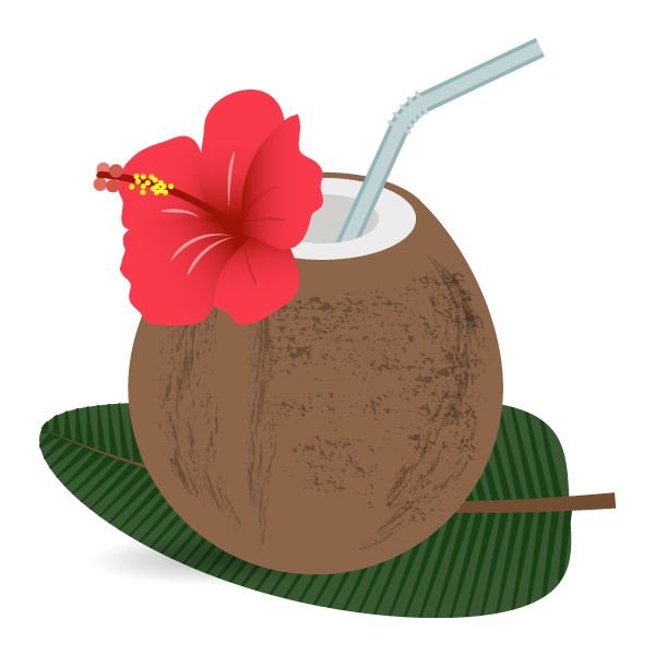 ハワイ 椰子の実ジュース Coconut Water フリーイラスト素材 趣味で作ったイラストを配るサイト