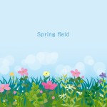 Spring field