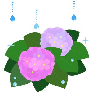 梅雨 梅雨 紫陽花 16 フリーイラスト素材 趣味で作ったイラストを配るサイト