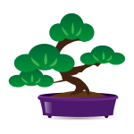 松の盆栽